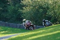 brands-hatch-photographs;brands-no-limits-trackday;cadwell-trackday-photographs;enduro-digital-images;event-digital-images;eventdigitalimages;no-limits-trackdays;peter-wileman-photography;racing-digital-images;trackday-digital-images;trackday-photos